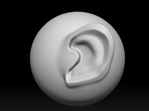 Stylized Ear Brush Part1 3D Model