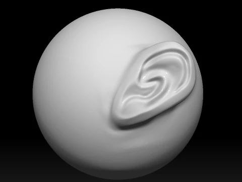 Stylized Ear Brush Part1 3D Model