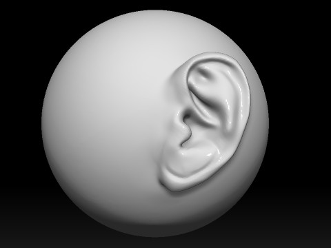 Stylized Ear Brush Part1 Modelo 3D