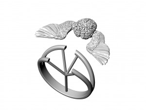 BRAIN WITH WINGS JEWELRY RING 3D Print Model
