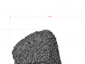 TARAS GRIGORIEVICH SHEVCHENKO BARELIEF 3D Print Model