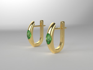 CITRUS EARRINGS 3D Print Model
