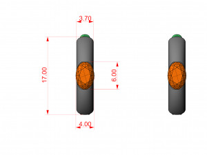 CITRUS EARRINGS 3D Print Model