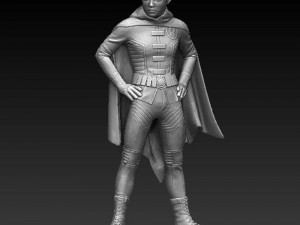 Robin Figures Modèles 3D en vedette