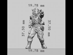 Insurgent Field Commander Modello di stampa 3D