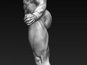 Captain Marvel and Adam Warlock 3D 打印模型