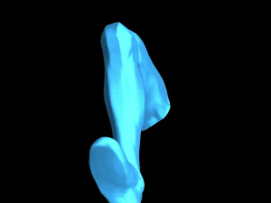 Iceman Bobby Modelo de Impressão 3D