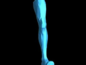 Iceman Bobby Modelo de Impressão 3D