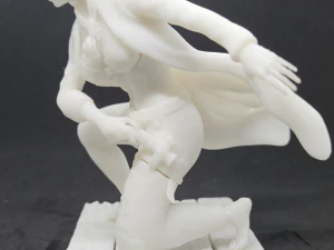 Pirate 3D Print Model