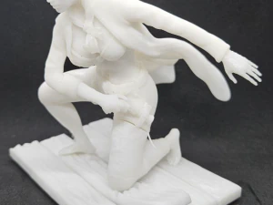 Pirate 3D Print Model