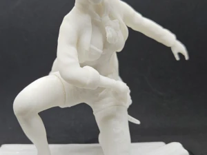 Pirate 3D Print Model