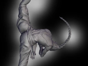 Karate Girl 3D Print Model