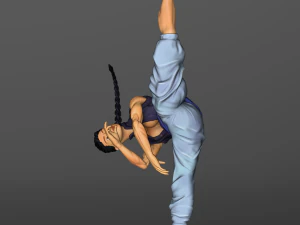 Karate Girl 3D Print Model