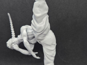 Karate Girl 3D Print Model