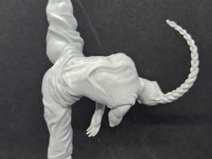 Karate Girl 3D Print Model