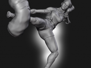 Mai Tai Fighter 3D Print Model