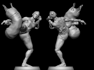 Mai Tai Fighter 3D 打印模型