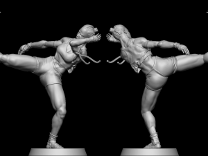 Mai Tai Fighter 3D 打印模型