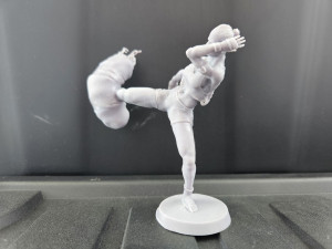 Mai Tai Fighter 3D 打印模型
