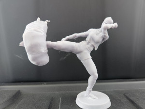 Mai Tai Fighter 3D 打印模型