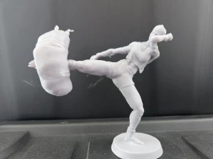 Mai Tai Fighter 3D Print Model