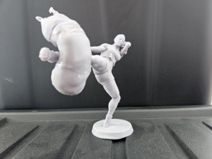 Mai Tai Fighter 3D 打印模型