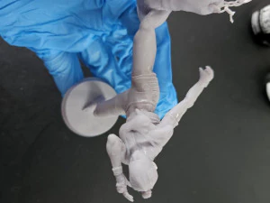 Mai Tai Fighter 3D Print Model