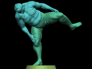 Sumo Wrestler 3D Print Model