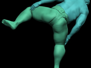 Sumo Wrestler 3D Print Model