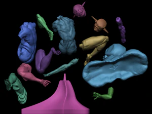 Execution of the Cyclops 3D Print Model