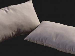Pillow Modello 3D