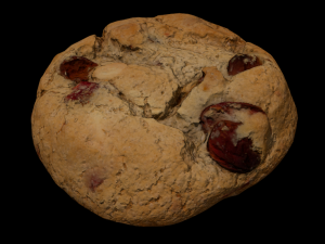 Wooden plate with cookies 3D 모델