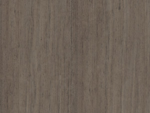 Basseyn 3D 模型