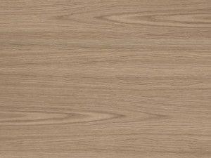 Basseyn 3D 模型