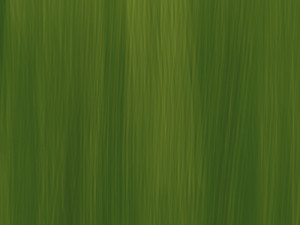 Basseyn 3D 模型