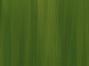 Basseyn 3D Model