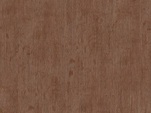Basseyn 3D 模型