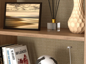 Higgs Bookcase Model 3D
