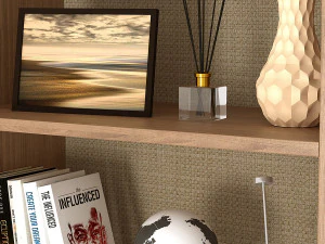 Higgs Bookcase 3D Model