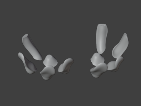 Skeleton 3D Model