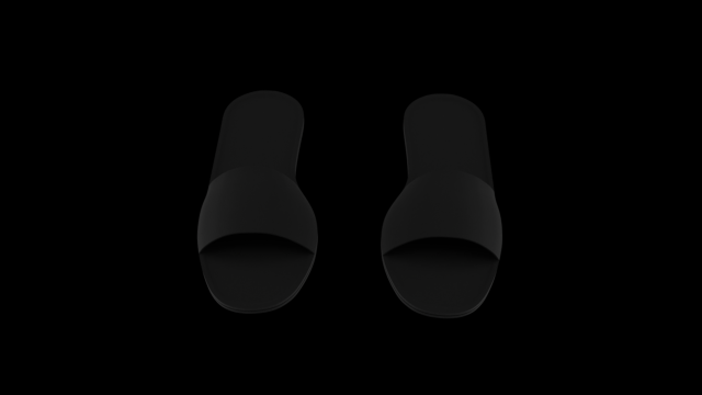 Slipper 3D 模型 .c4d .max .obj .3ds .fbx .stl .blend 