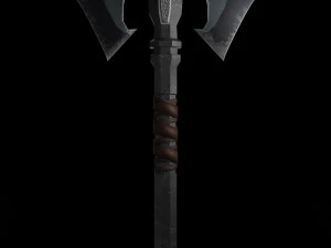 Kapak Besar bermuka dua Model 3D