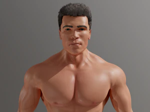 Arnold Schwarzenegger Terminator 3D Model