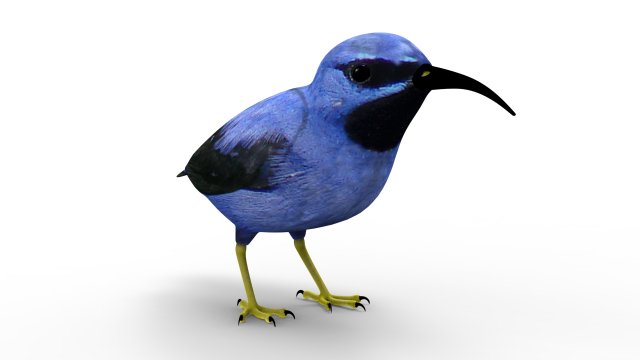 Humming Bird 3D Model .c4d .max .obj .3ds .fbx .stl .blend 