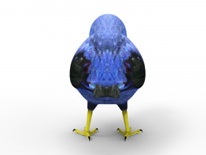 Humming Bird 3D Model