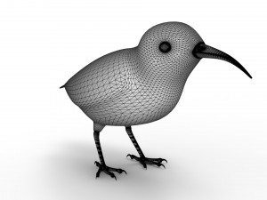Humming Bird 3D Model