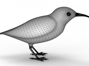 Humming Bird 3D Model