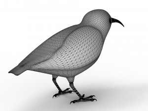 Humming Bird 3D Model