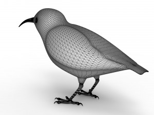 Humming Bird 3D Model