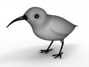 Humming Bird 3D Model
